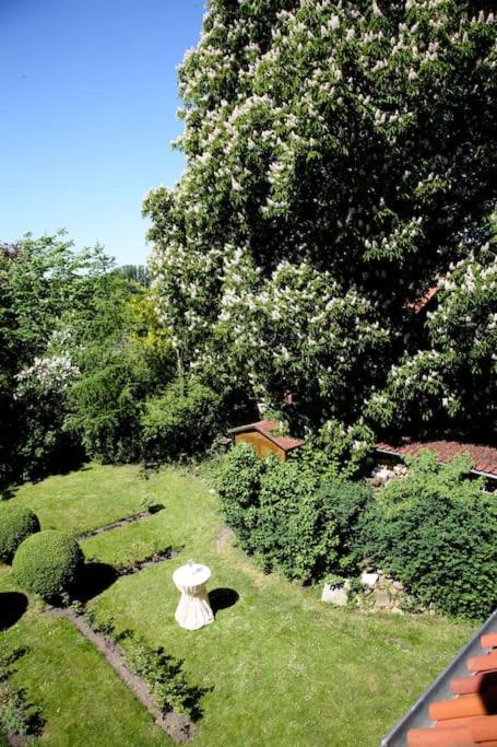 Haus Keppelborg: Zi Ferdinand Mit Rosengartenblick Heek Exterior foto